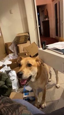 bfigl_001_3181.jpeg