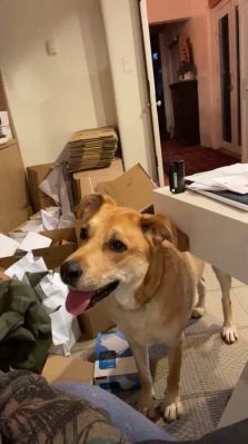 bfigl_001_3185.jpeg