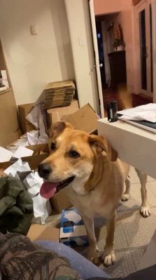 bfigl_001_3186.jpeg