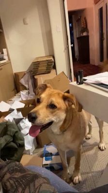 bfigl_001_3188.jpeg