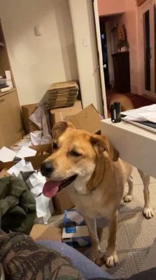 bfigl_001_3189.jpeg