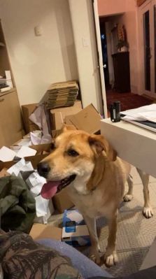 bfigl_001_3190.jpeg