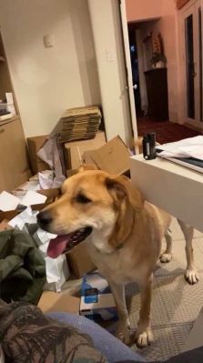 bfigl_001_3191.jpeg