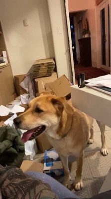 bfigl_001_3192.jpeg