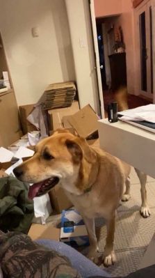 bfigl_001_3193.jpeg