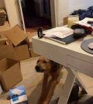 Filename=bfigl_001_1068.jpeg
Filesize=31KiB
Dimensions=608x1088
Date added=Feb 11, 2021 bfigl_001_1068.jpeg