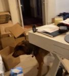 Filename=bfigl_001_1072.jpeg
Filesize=31KiB
Dimensions=608x1088
Date added=Feb 11, 2021 bfigl_001_1072.jpeg