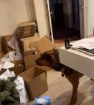 Filename=bfigl_001_1075.jpeg
Filesize=40KiB
Dimensions=608x1088
Date added=Feb 11, 2021 bfigl_001_1075.jpeg