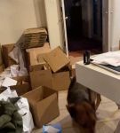 Filename=bfigl_001_1086.jpeg
Filesize=41KiB
Dimensions=608x1088
Date added=Feb 11, 2021 bfigl_001_1086.jpeg