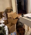 Filename=bfigl_001_1087.jpeg
Filesize=40KiB
Dimensions=608x1088
Date added=Feb 11, 2021 bfigl_001_1087.jpeg