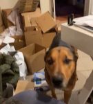 Filename=bfigl_001_1092.jpeg
Filesize=34KiB
Dimensions=608x1088
Date added=Feb 11, 2021 bfigl_001_1092.jpeg