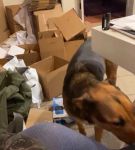 Filename=bfigl_001_1100.jpeg
Filesize=41KiB
Dimensions=608x1088
Date added=Feb 11, 2021 bfigl_001_1100.jpeg
