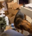 Filename=bfigl_001_1101.jpeg
Filesize=33KiB
Dimensions=608x1088
Date added=Feb 11, 2021 bfigl_001_1101.jpeg