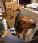 Filename=bfigl_001_1102.jpeg
Filesize=37KiB
Dimensions=608x1088
Date added=Feb 11, 2021 bfigl_001_1102.jpeg