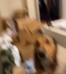 bfigl_001_1104.jpeg