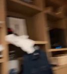 bfigl_001_1107.jpeg