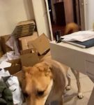 bfigl_001_3167.jpeg