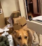 bfigl_001_3171.jpeg
