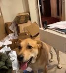bfigl_001_3176.jpeg