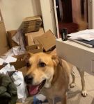 bfigl_001_3178.jpeg
