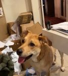 bfigl_001_3185.jpeg