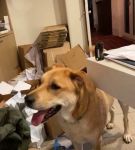 bfigl_001_3191.jpeg