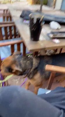 bfigl_001_0116.jpeg