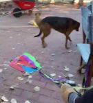 Filename=bfigl_001_0041.jpeg
Filesize=42KiB
Dimensions=608x1088
Date added=Feb 11, 2021 bfigl_001_0041.jpeg