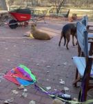Filename=bfigl_001_0044.jpeg
Filesize=66KiB
Dimensions=608x1088
Date added=Feb 11, 2021 bfigl_001_0044.jpeg