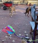Filename=bfigl_001_0049.jpeg
Filesize=73KiB
Dimensions=608x1088
Date added=Feb 11, 2021 bfigl_001_0049.jpeg