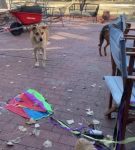 Filename=bfigl_001_0050.jpeg
Filesize=73KiB
Dimensions=608x1088
Date added=Feb 11, 2021 bfigl_001_0050.jpeg