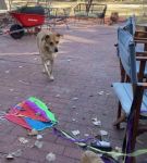 Filename=bfigl_001_0051.jpeg
Filesize=74KiB
Dimensions=608x1088
Date added=Feb 11, 2021 bfigl_001_0051.jpeg