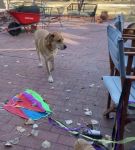 Filename=bfigl_001_0052.jpeg
Filesize=74KiB
Dimensions=608x1088
Date added=Feb 11, 2021 bfigl_001_0052.jpeg