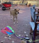 Filename=bfigl_001_0053.jpeg
Filesize=72KiB
Dimensions=608x1088
Date added=Feb 11, 2021 bfigl_001_0053.jpeg