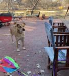 Filename=bfigl_001_0054.jpeg
Filesize=59KiB
Dimensions=608x1088
Date added=Feb 11, 2021 bfigl_001_0054.jpeg
