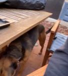 Filename=bfigl_001_0084.jpeg
Filesize=37KiB
Dimensions=608x1088
Date added=Feb 11, 2021 bfigl_001_0084.jpeg
