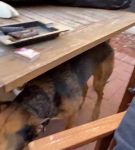 Filename=bfigl_001_0085.jpeg
Filesize=39KiB
Dimensions=608x1088
Date added=Feb 11, 2021 bfigl_001_0085.jpeg