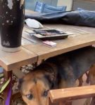 Filename=bfigl_001_0087.jpeg
Filesize=42KiB
Dimensions=608x1088
Date added=Feb 11, 2021 bfigl_001_0087.jpeg