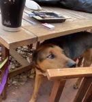 Filename=bfigl_001_0089.jpeg
Filesize=49KiB
Dimensions=608x1088
Date added=Feb 11, 2021 bfigl_001_0089.jpeg