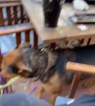 Filename=bfigl_001_0116.jpeg
Filesize=35KiB
Dimensions=608x1088
Date added=Feb 11, 2021 bfigl_001_0116.jpeg