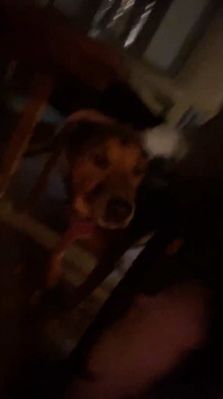 bfigl_001_1426.jpeg