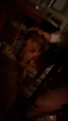 bfigl_001_1427.jpeg