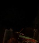 bfigl_001_1369.jpeg