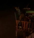 bfigl_001_1372.jpeg