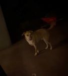 bfigl_001_1386.jpeg