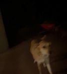 Filename=bfigl_001_1389.jpeg
Filesize=8KiB
Dimensions=608x1088
Date added=Feb 11, 2021 bfigl_001_1389.jpeg
