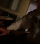 bfigl_001_1424.jpeg