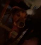 bfigl_001_1426.jpeg