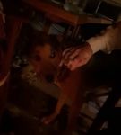 bfigl_001_1432.jpeg