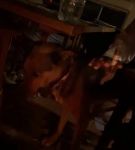 bfigl_001_1434.jpeg